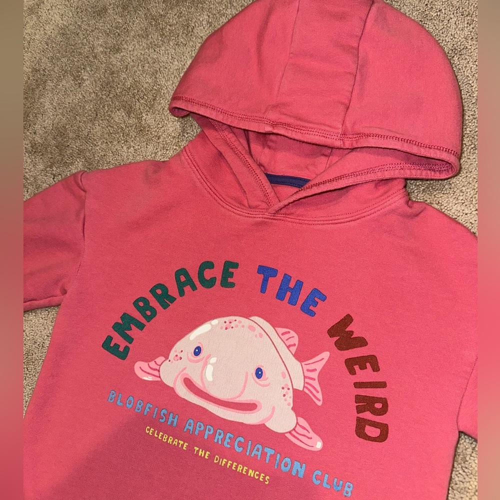 Mini Boden Sweatshirt